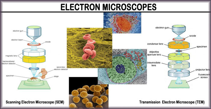 تصویر مرتبط با میکروسکوپ الکترونی چیست؟ در سایت هلدینگ KTG