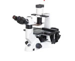 میکروسکوپ اینورت فلورسنت سه چشمی مدل NIB-100F